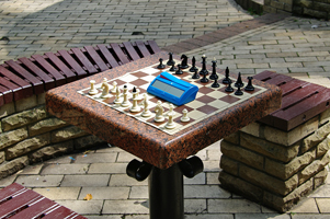 Київські шахи, 2019