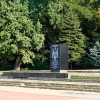  Київ Пам'ятник полезлим за Україну 2021 