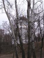 Храм пам'яті жертв Чернобиля.   Збільшити...(фото 2005р.)